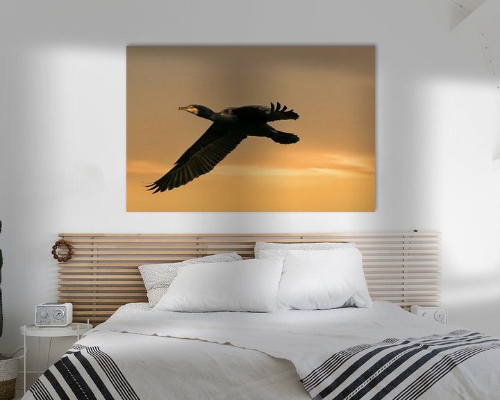 Sfeerimpressie: Een gedetailleerde Aalscholver tijdens de vlucht met uitgespreide vleugels. Tegen een gouden lucht m van Gea Veenstra
