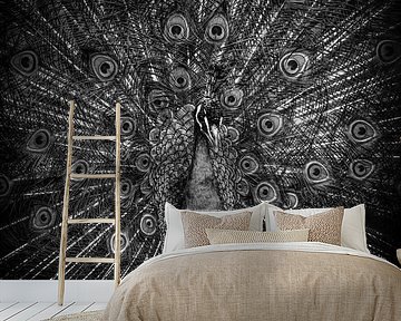 Peacocks: proud peacock in black and white by By Marjolein Design