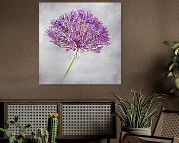 Summer beauty, allium by Rietje Bulthuis