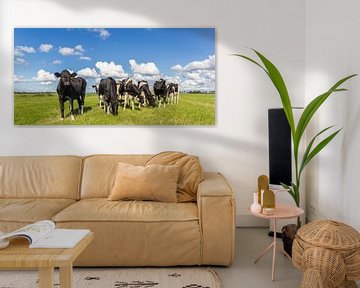 Zwart witte koeien in het landschap van Groningen