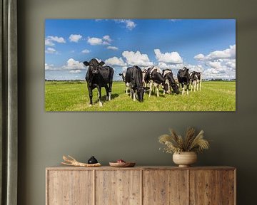Zwart witte koeien in het landschap van Groningen van Marc Venema