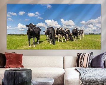 Zwart witte koeien in het landschap van Groningen van Marc Venema