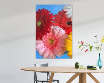 Gerbera van Thomas Jäger