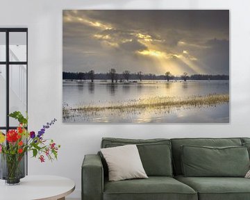 Merwede floodplains by Wim den Besten