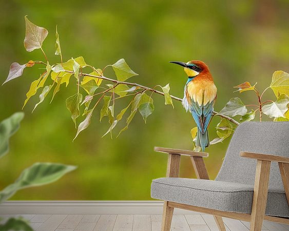 Aperçu de la chambre