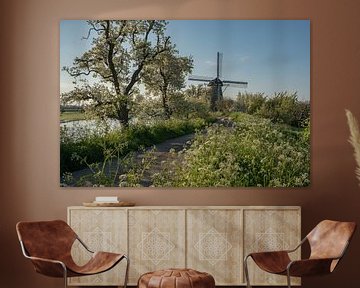 Mill de Vrijheid in spring by Moetwil en van Dijk - Fotografie