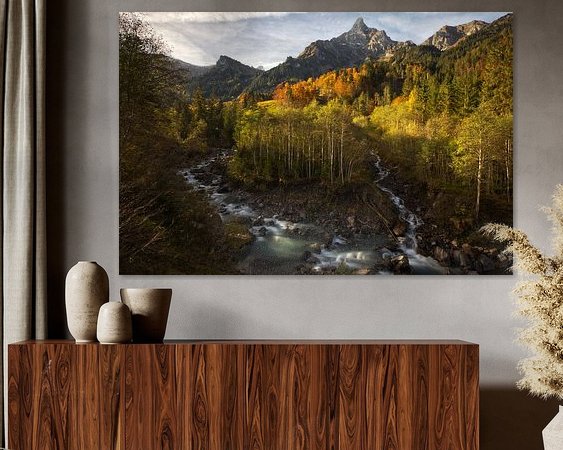 Aperçu de la chambre