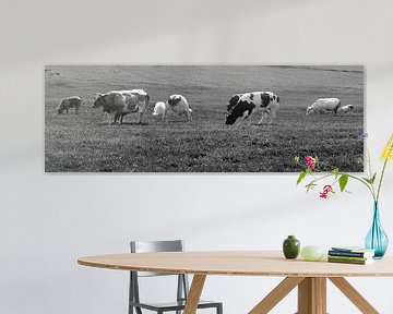 Vaches au pâturage Lisse Pays-Bas Noir et blanc sur Hendrik-Jan Kornelis