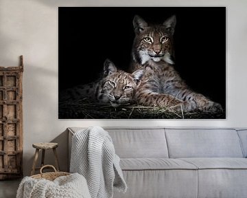 Katze und Kätzchen.ruhig ruhen von Faulheit, aber der Blick ist eine schlaue, dunklen Hintergrund. von Michael Semenov