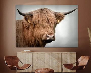 Schotse Hooglanders: Portret Schotse hooglander koe van Marjolein van Middelkoop