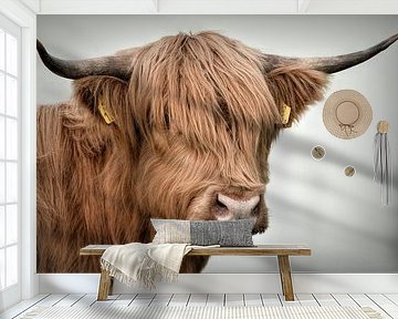 Scottish Highlanders: Portrait Scottish highlander cow by By Marjolein Design