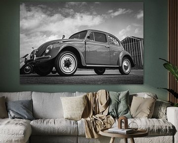 Volkswagen Beetle by Ronald van der Zon