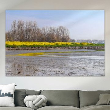 Beautiful view on the low water