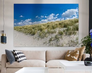 Dunes by MSP Canvas