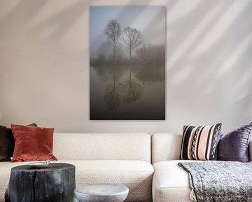 reflection