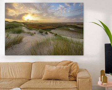 Terschelling and the beautiful nature of De Boschplaat by Dirk van Egmond