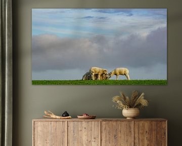 Sheep on the dike on Terschelling by Dirk van Egmond