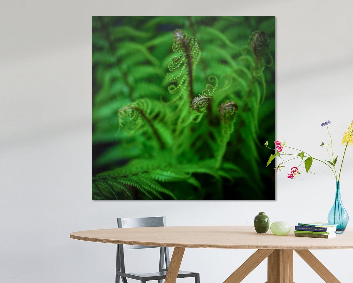 Raumvorschau