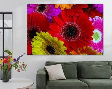 Kleurrijke gerbera's. Fleurige bloemen aan de muur. van Gianni Argese