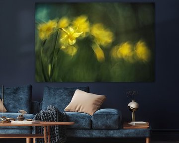 Yellow Daffodils in Green Background by Jan van der Linden