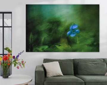 Lente in blauw en groen. Lenteviooltje