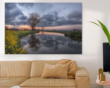 Een mooie boom in de Betuwe van Moetwil en van Dijk - Fotografie