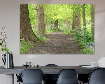 Follow the path (mooie laan tussen oude bomen en boshyacinten) van Birgitte Bergman
