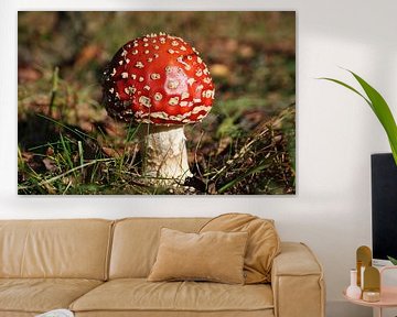 Rood met witte stippen paddenstoel van Peter Mooij