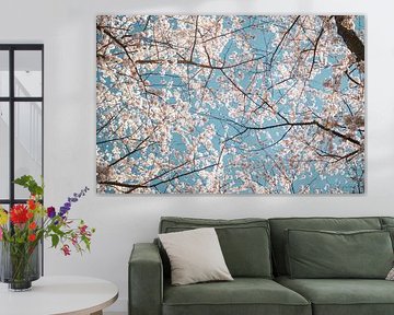 Cherry Blossom by Leonie Wagenaar
