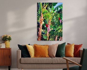 Tropische bananenpalmboom in de jungle van Abstrakt Art