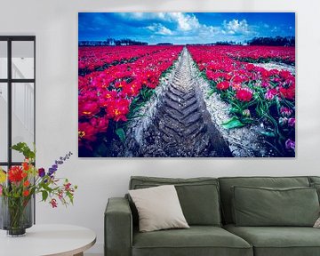 Tulpen rood van peterheinspictures