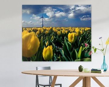 Tulpen rond Urk