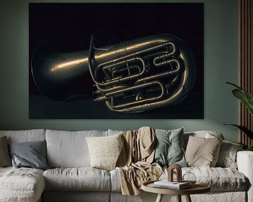 De band, Tuba van met Jessica / Fotostudio Drachten