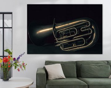 Die Band, Tuba von met Jessica / Fotostudio Drachten