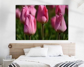 Roze tulpen van Ulrike Leone