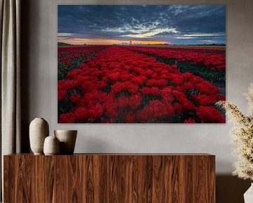 red bed by peterheinspictures