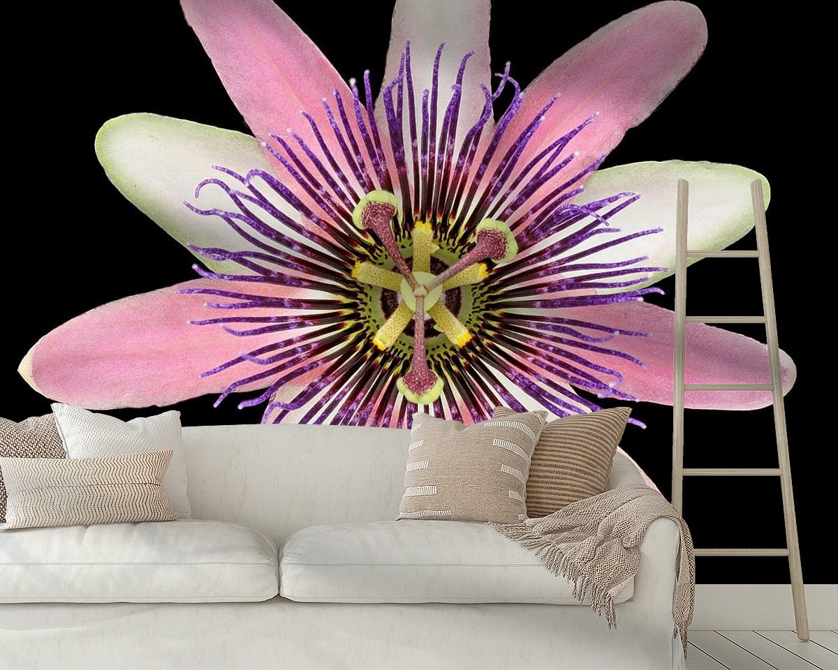 Raumvorschau