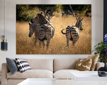 Zebra's in Kruger Nationaal Park van Andreas Jansen