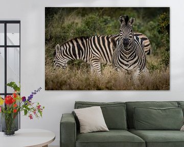 Verblindende zebra's van Andreas Jansen