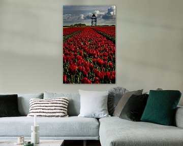 rode tulpen voor de toren van peterheinspictures