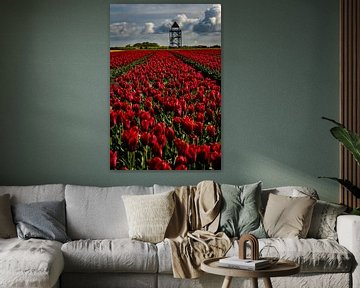 rode tulpen voor de toren van peterheinspictures