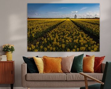 geel tulpenveld van peterheinspictures