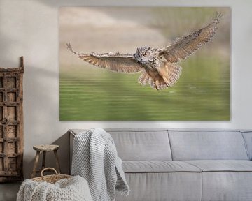 Eagle Owl in flight by Larissa Rand