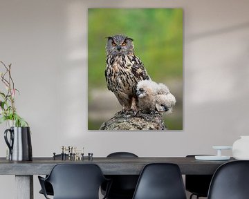 Eagle owl with young. by Larissa Rand