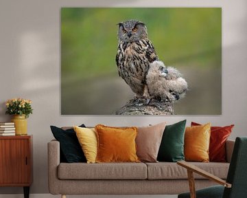Owl. by Larissa Rand