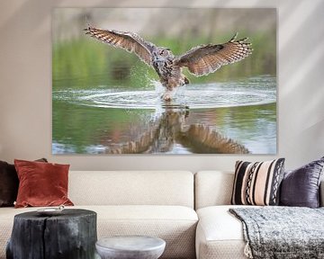 Owl fishing for prey. by Larissa Rand