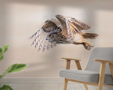 Eagle Owl in flight by Larissa Rand