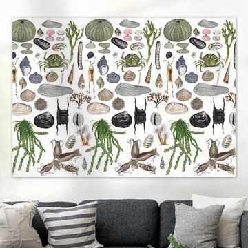 Beaches on the beach