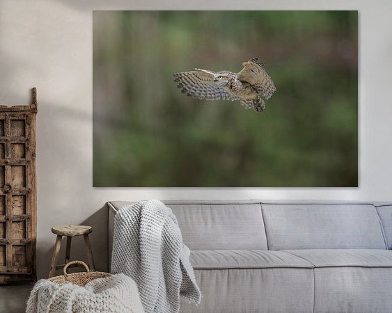 Aperçu de la chambre