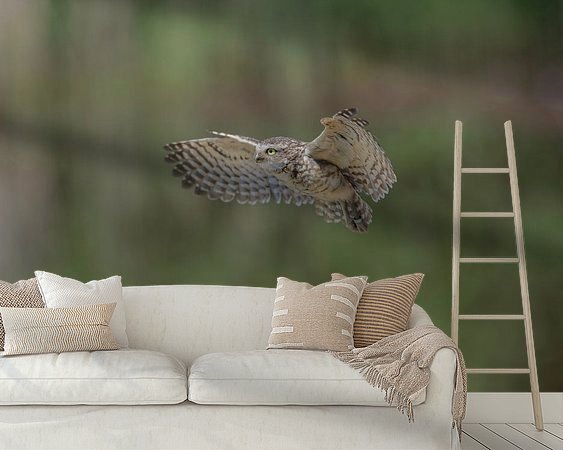 Aperçu de la chambre